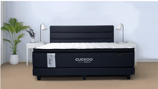 Tilam Cuckoo | Ulasan